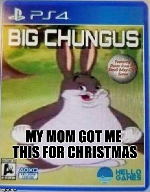 Big chungus | MY MOM GOT ME THIS FOR CHRISTMAS | image tagged in big chungus | made w/ Imgflip meme maker