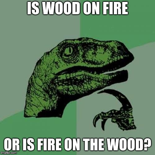 Philosoraptor Meme | IS WOOD ON FIRE; OR IS FIRE ON THE WOOD? | image tagged in memes,philosoraptor | made w/ Imgflip meme maker