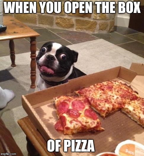 Hungry Pizza Dog | WHEN YOU OPEN THE BOX; OF PIZZA | image tagged in hungry pizza dog | made w/ Imgflip meme maker