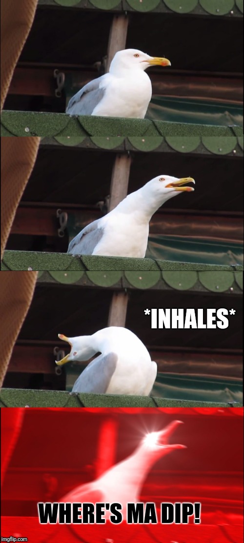 Inhaling Seagull Meme | *INHALES* WHERE'S MA DIP! | image tagged in memes,inhaling seagull | made w/ Imgflip meme maker