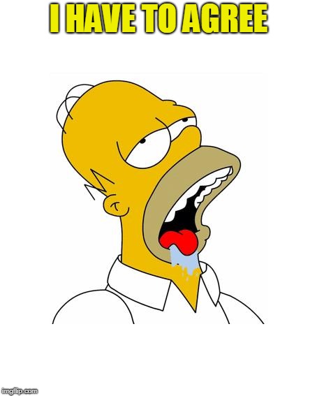 Homer Simpson Drooling | I HAVE TO AGREE | image tagged in homer simpson drooling | made w/ Imgflip meme maker