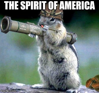 Bazooka Squirrel | THE SPIRIT OF AMERICA | image tagged in memes,bazooka squirrel | made w/ Imgflip meme maker