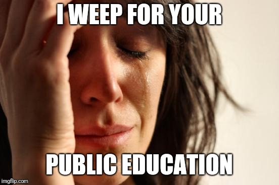First World Problems Meme | I WEEP FOR YOUR PUBLIC EDUCATION | image tagged in memes,first world problems | made w/ Imgflip meme maker