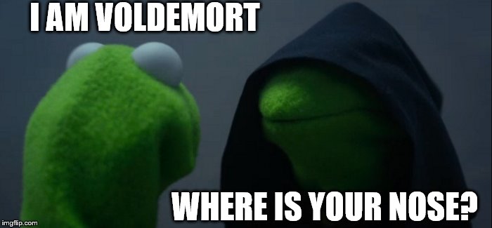 Evil Kermit Meme | I AM VOLDEMORT; WHERE IS YOUR NOSE? | image tagged in memes,evil kermit | made w/ Imgflip meme maker