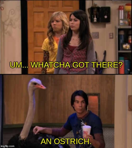 Insert Catchy Title | UM... WHATCHA GOT THERE? AN OSTRICH. | image tagged in icarly,ostrich,smoothie,funny,funny meme,dry | made w/ Imgflip meme maker