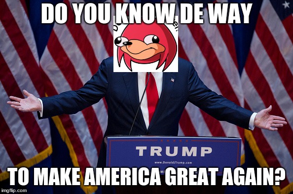 Trump Bruh | DO YOU KNOW DE WAY; TO MAKE AMERICA GREAT AGAIN? | image tagged in trump bruh | made w/ Imgflip meme maker