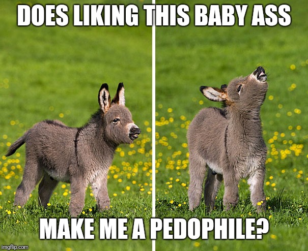 Does it?

 | DOES LIKING THIS BABY ASS; MAKE ME A PEDOPHILE? | image tagged in memes,funny,ass,baby | made w/ Imgflip meme maker