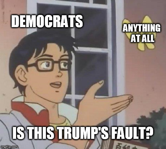 Is This A Pigeon Meme | DEMOCRATS; ANYTHING AT ALL; IS THIS TRUMP'S FAULT? | image tagged in memes,is this a pigeon,donald trump,stupid liberals | made w/ Imgflip meme maker