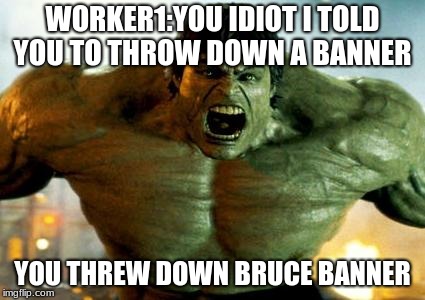 hulk | WORKER1:YOU IDIOT I TOLD YOU TO THROW DOWN A BANNER; YOU THREW DOWN BRUCE BANNER | image tagged in hulk | made w/ Imgflip meme maker