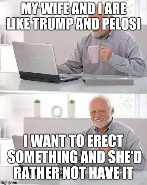 Hide the Pain Harold | MY WIFE AND I ARE LIKE TRUMP AND PELOSI; I WANT TO ERECT SOMETHING AND SHE'D RATHER NOT HAVE IT | image tagged in memes,hide the pain harold | made w/ Imgflip meme maker