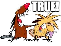 too small | TRUE! | image tagged in angry beavers | made w/ Imgflip meme maker
