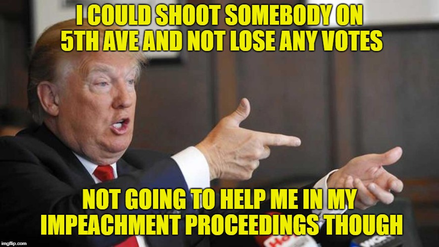 Trump Shoots | I COULD SHOOT SOMEBODY ON 5TH AVE AND NOT LOSE ANY VOTES; NOT GOING TO HELP ME IN MY IMPEACHMENT PROCEEDINGS THOUGH | image tagged in trump shoots | made w/ Imgflip meme maker
