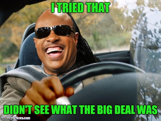 Stevie Wonder Driving | I TRIED THAT DIDN'T SEE WHAT THE BIG DEAL WAS | image tagged in stevie wonder driving | made w/ Imgflip meme maker