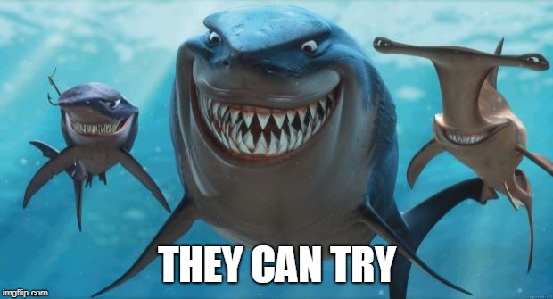 Finding Nemo Sharks | THEY CAN TRY | image tagged in finding nemo sharks | made w/ Imgflip meme maker