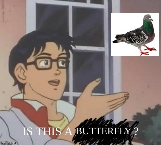 Is This A Pigeon Meme | BUTTERFLY; IS THIS A                     ? | image tagged in memes,is this a pigeon | made w/ Imgflip meme maker