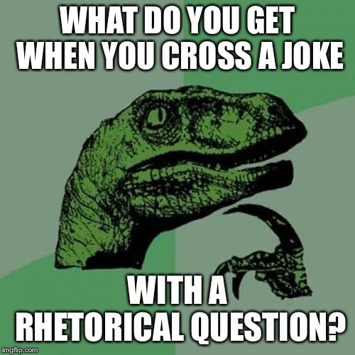 Philosoraptor Meme | WHAT DO YOU GET WHEN YOU CROSS A JOKE; WITH A RHETORICAL QUESTION? | image tagged in memes,philosoraptor | made w/ Imgflip meme maker