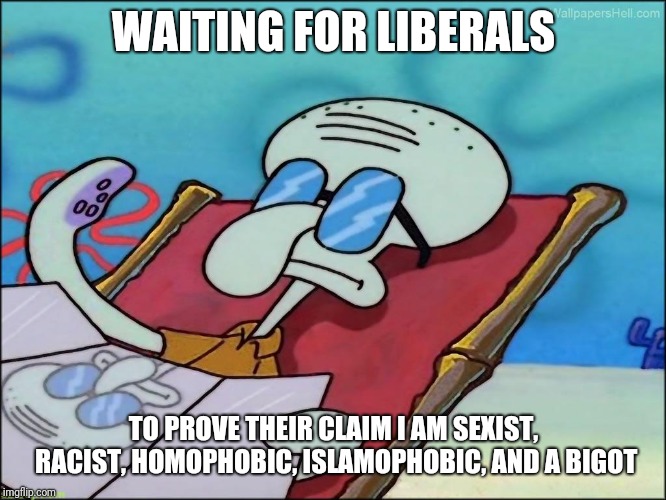 WAITING FOR LIBERALS; TO PROVE THEIR CLAIM I AM SEXIST, RACIST, HOMOPHOBIC, ISLAMOPHOBIC, AND A BIGOT | image tagged in liberals | made w/ Imgflip meme maker