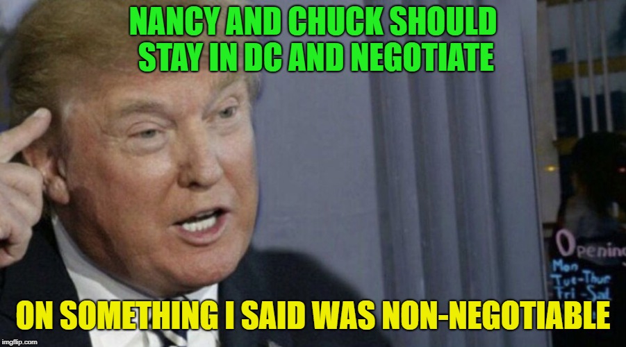 Trump logic | NANCY AND CHUCK SHOULD STAY IN DC AND NEGOTIATE; ON SOMETHING I SAID WAS NON-NEGOTIABLE | image tagged in trump roll safe | made w/ Imgflip meme maker