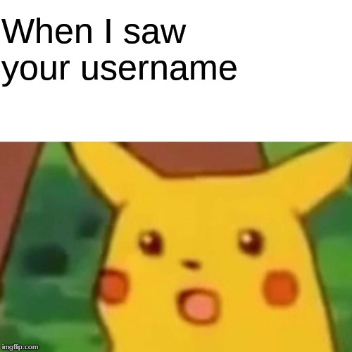 Surprised Pikachu Meme | When I saw your username | image tagged in memes,surprised pikachu | made w/ Imgflip meme maker