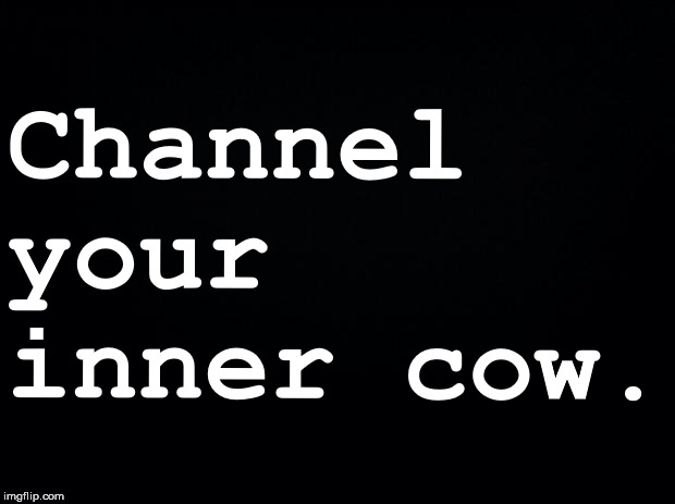Black background | Channel your inner cow. | image tagged in black background | made w/ Imgflip meme maker