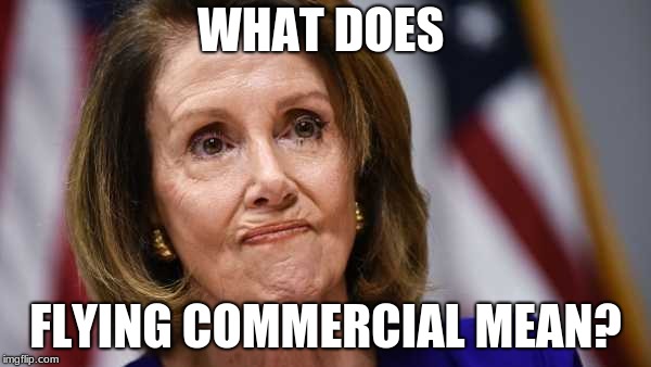 WHAT DOES; FLYING COMMERCIAL MEAN? | image tagged in nancy | made w/ Imgflip meme maker