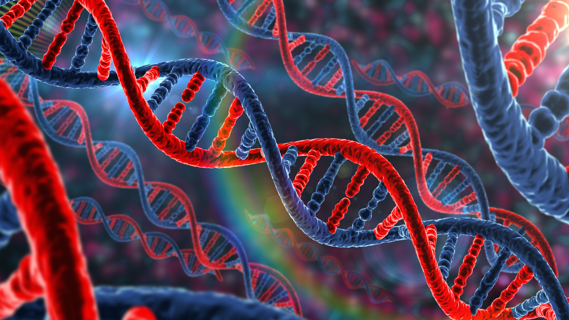 High Quality DNA red and blue Blank Meme Template
