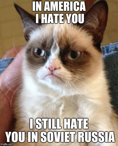 Grumpy Cat | IN AMERICA I HATE YOU; I STILL HATE YOU IN SOVIET RUSSIA | image tagged in memes,grumpy cat | made w/ Imgflip meme maker
