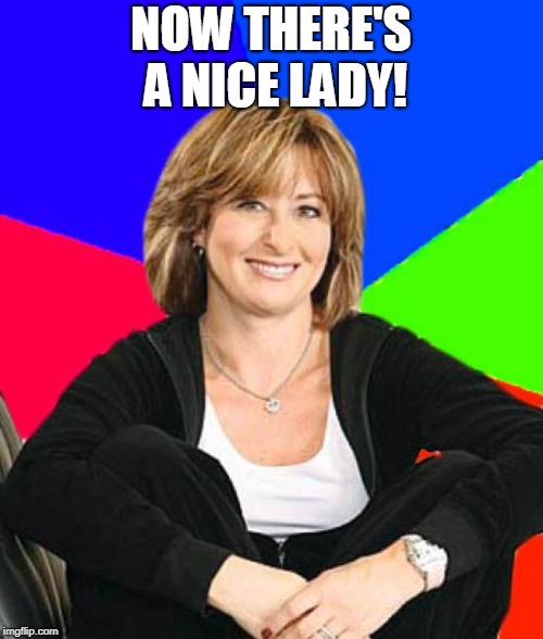 Sheltering Suburban Mom Meme | NOW THERE'S A NICE LADY! | image tagged in memes,sheltering suburban mom | made w/ Imgflip meme maker