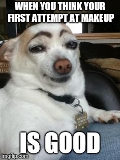 Eyebrow dog | WHEN YOU THINK YOUR FIRST ATTEMPT AT MAKEUP; IS GOOD | image tagged in eyebrow dog | made w/ Imgflip meme maker