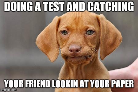 Dissapointed puppy | DOING A TEST AND CATCHING; YOUR FRIEND LOOKIN AT YOUR PAPER | image tagged in dissapointed puppy | made w/ Imgflip meme maker