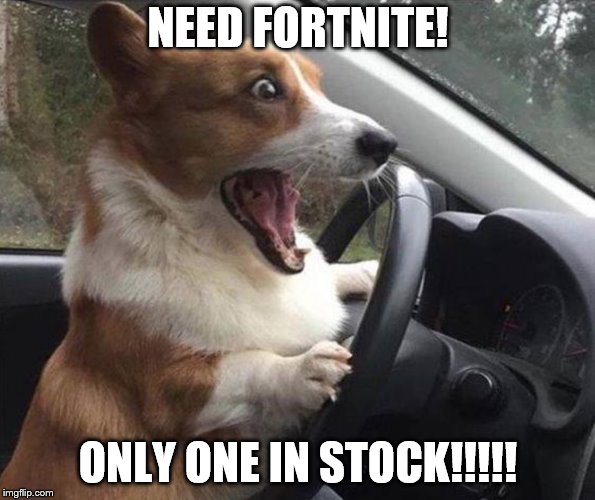 dog driving | NEED FORTNITE! ONLY ONE IN STOCK!!!!! | image tagged in dog driving | made w/ Imgflip meme maker