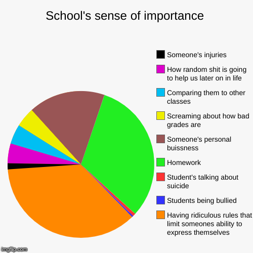 School's sense of importance | Having ridiculous rules that limit someones ability to express themselves, Students being bullied, Student's  | image tagged in funny,pie charts | made w/ Imgflip chart maker