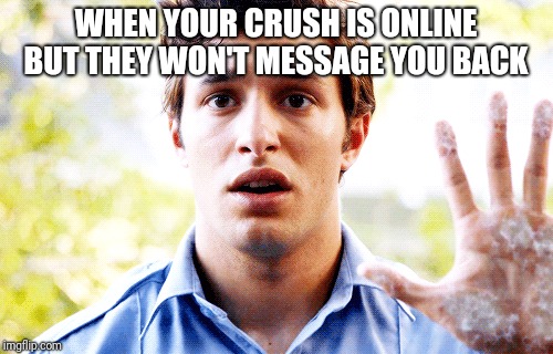 WHEN YOUR CRUSH IS ONLINE BUT THEY WON'T MESSAGE YOU BACK | image tagged in when your crush,obsessed,under the dome | made w/ Imgflip meme maker