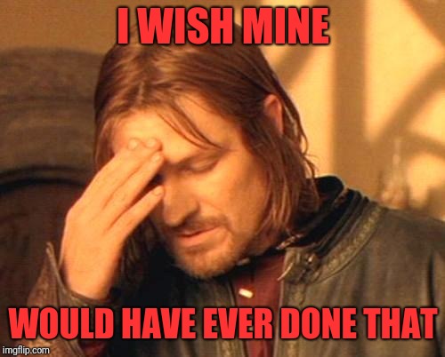 Frustrated Boromir | I WISH MINE WOULD HAVE EVER DONE THAT | image tagged in frustrated boromir | made w/ Imgflip meme maker