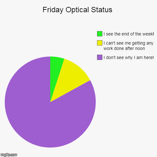 Friday Optical Status | I don't see why I am here! , I can't see me getting any work done after noon, I see the end of the week! | image tagged in funny,pie charts | made w/ Imgflip chart maker