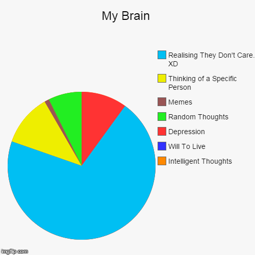 My Brain | Intelligent Thoughts, Will To Live, Depression, Random Thoughts, Memes, Thinking of a Specific Person, Realising They Don't Care. | image tagged in funny,pie charts | made w/ Imgflip chart maker