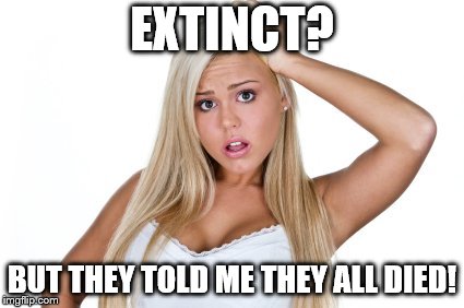 Dumb Blonde | EXTINCT? BUT THEY TOLD ME THEY ALL DIED! | image tagged in dumb blonde | made w/ Imgflip meme maker