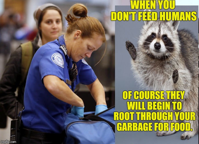 WHEN YOU DON'T FEED HUMANS OF COURSE THEY WILL BEGIN TO ROOT THROUGH YOUR GARBAGE FOR FOOD. | made w/ Imgflip meme maker