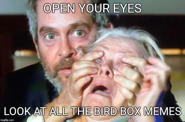 OPEN YOUR EYES | OPEN YOUR EYES LOOK AT ALL THE BIRD BOX MEMES | image tagged in open your eyes | made w/ Imgflip meme maker