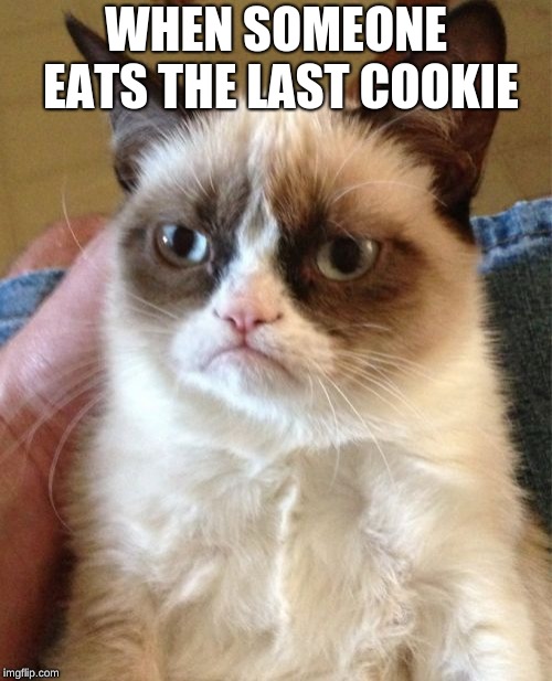 Grumpy Cat | WHEN SOMEONE EATS THE LAST COOKIE | image tagged in memes,grumpy cat | made w/ Imgflip meme maker