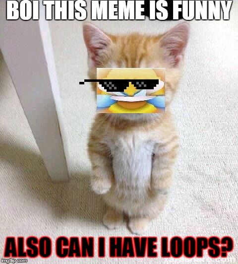 Cute Cat Meme | BOI THIS MEME IS FUNNY; ALSO CAN I HAVE LOOPS? | image tagged in memes,cute cat | made w/ Imgflip meme maker