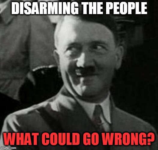 Hitler laugh  | DISARMING THE PEOPLE WHAT COULD GO WRONG? | image tagged in hitler laugh | made w/ Imgflip meme maker