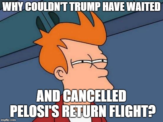 Trump's timing is usually perfect... | WHY COULDN'T TRUMP HAVE WAITED; AND CANCELLED PELOSI'S RETURN FLIGHT? | image tagged in memes,futurama fry,donald trump,nancy pelosi,government shutdown | made w/ Imgflip meme maker