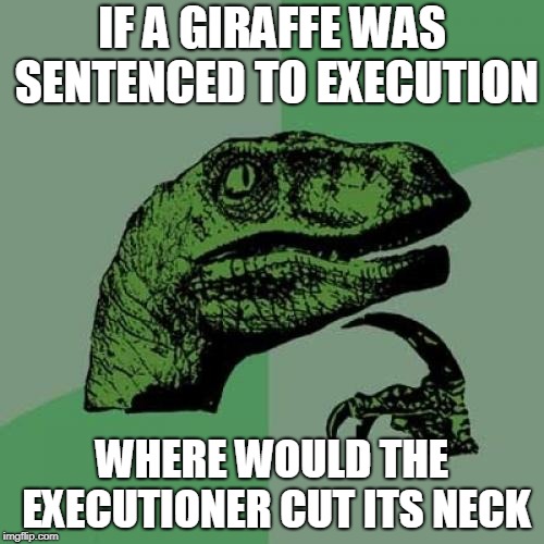 Philosoraptor Meme | IF A GIRAFFE WAS SENTENCED TO EXECUTION; WHERE WOULD THE EXECUTIONER CUT ITS NECK | image tagged in memes,philosoraptor | made w/ Imgflip meme maker