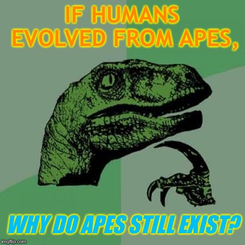Maybe there was a defect...? | IF HUMANS EVOLVED FROM APES, WHY DO APES STILL EXIST? | image tagged in memes,philosoraptor,funny,evolution,funny because it's true | made w/ Imgflip meme maker