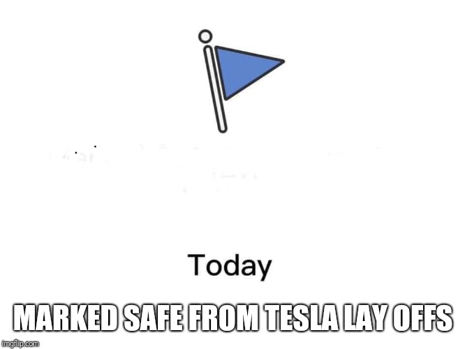 Marked safe from | MARKED SAFE FROM TESLA LAY OFFS | image tagged in marked safe from | made w/ Imgflip meme maker