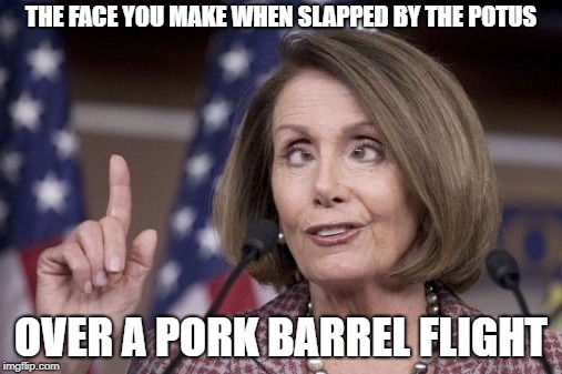 Nancy pelosi | THE FACE YOU MAKE WHEN SLAPPED BY THE POTUS; OVER A PORK BARREL FLIGHT | image tagged in nancy pelosi | made w/ Imgflip meme maker