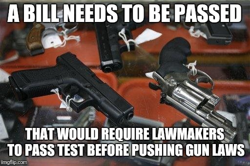 A BILL NEEDS TO BE PASSED; THAT WOULD REQUIRE LAWMAKERS TO PASS TEST BEFORE PUSHING GUN LAWS | made w/ Imgflip meme maker