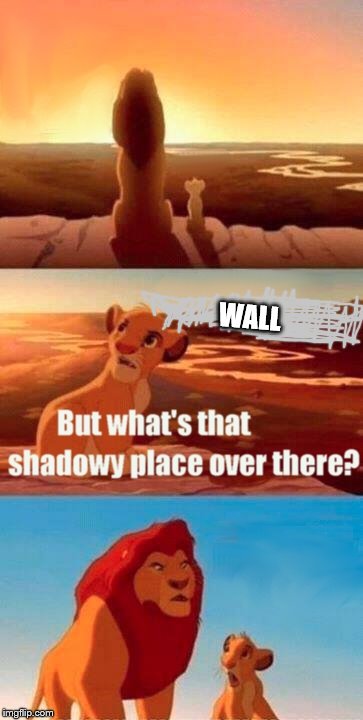 Simba Shadowy Place Meme | WALL | image tagged in memes,simba shadowy place | made w/ Imgflip meme maker