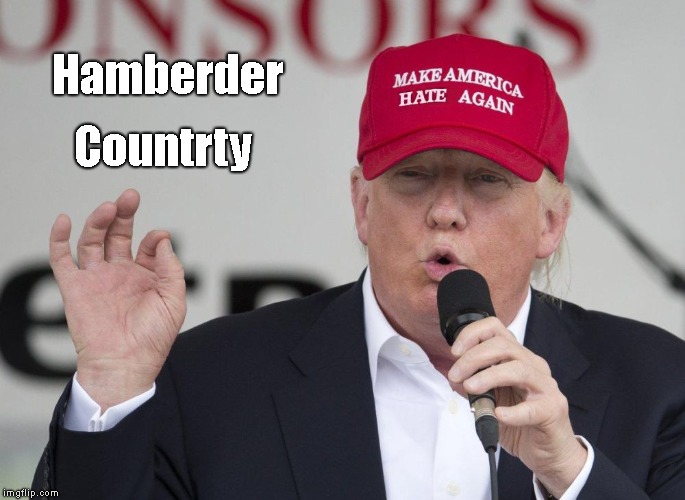 Mc'Merica  | Hamberder; Countrty | image tagged in new trump hat,hamberder,countrty,trump | made w/ Imgflip meme maker